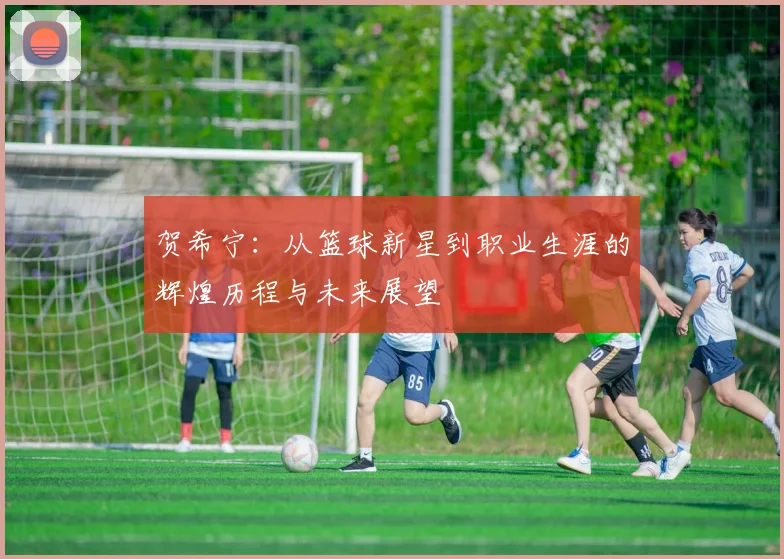 贺希宁：从篮球新星到职业生涯的辉煌历程与未来展望
